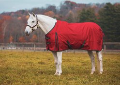 Jacks Heritage Collection Atlas 600 Denier with 300 Gram Turnout Blanket, Red, 84-in