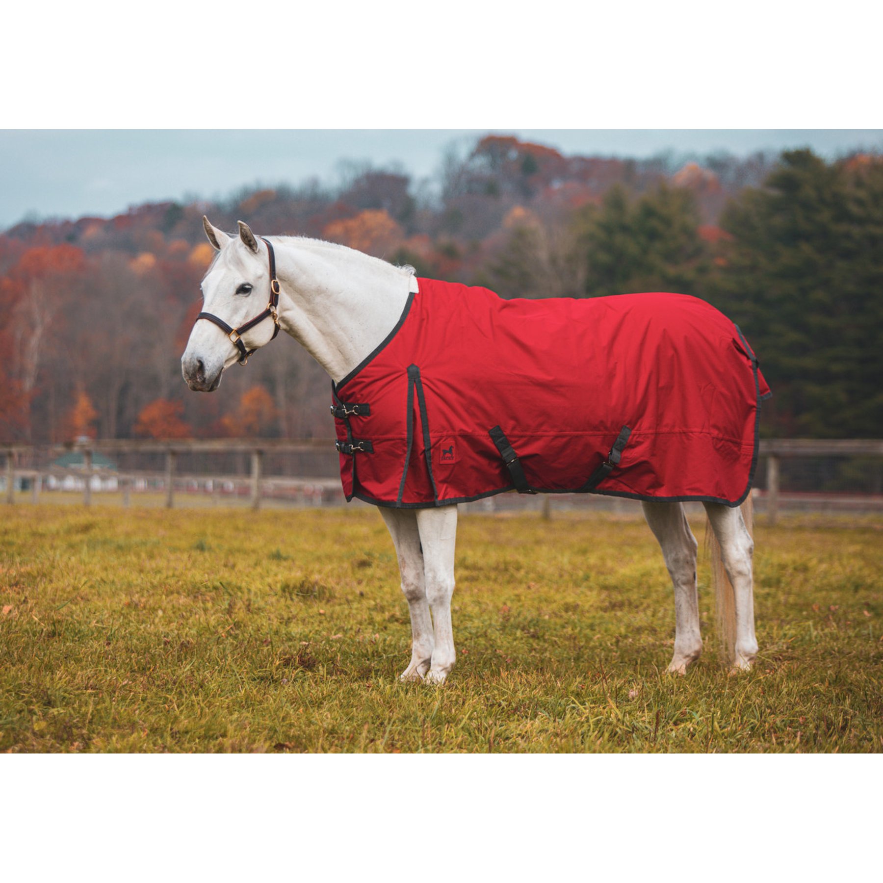 Jacks Heritage Collection Atlas 600 Denier with 180 Gram Turnout Blanket, Red, 80-in