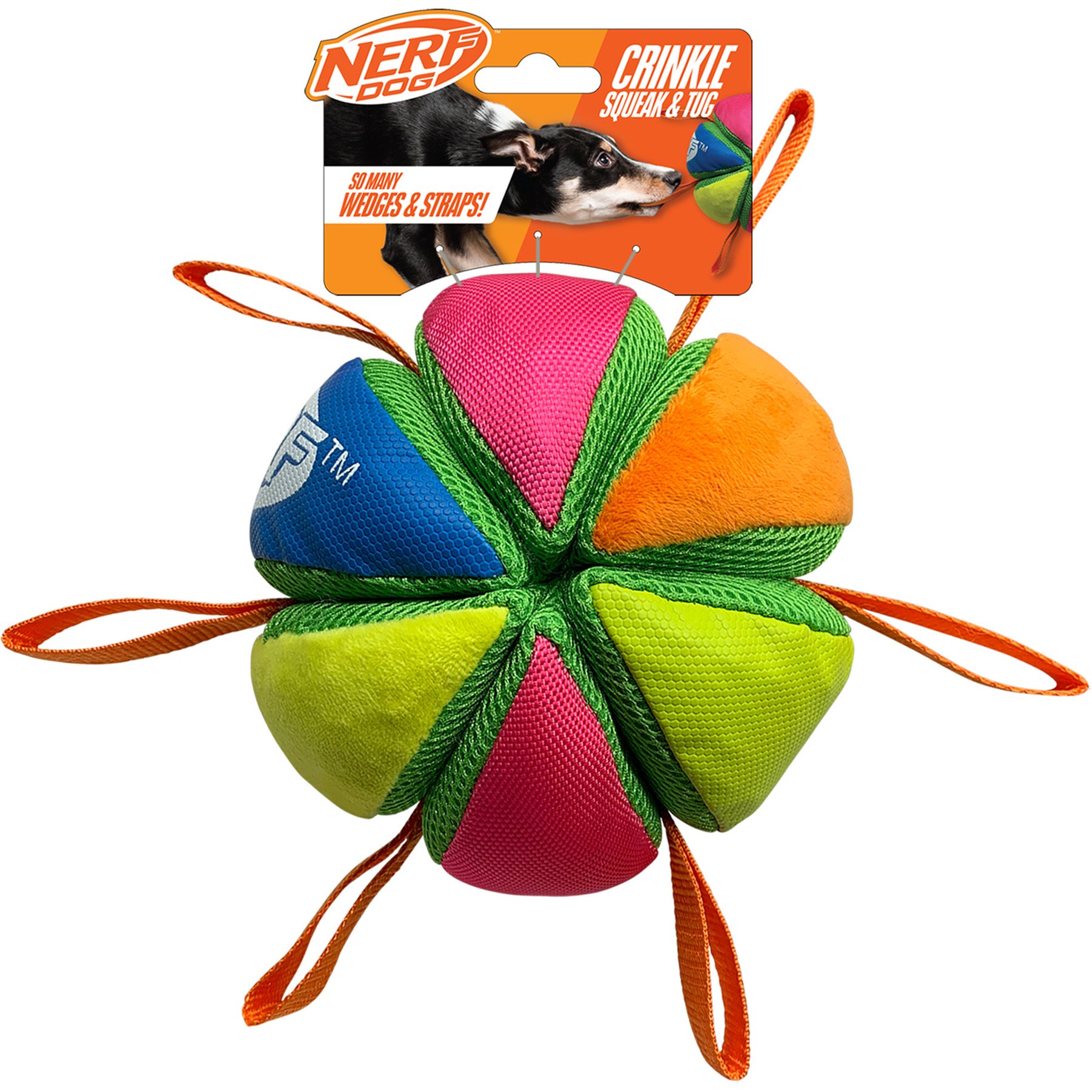 Nerf Dog Plush Squeak & Crunch Wedge Ball with Straps Dog Toy, Blue/Green/Orange/Pink, 5.9-in