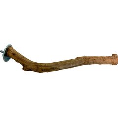 YML Hardwood Bird Perch, Brown, 12-in