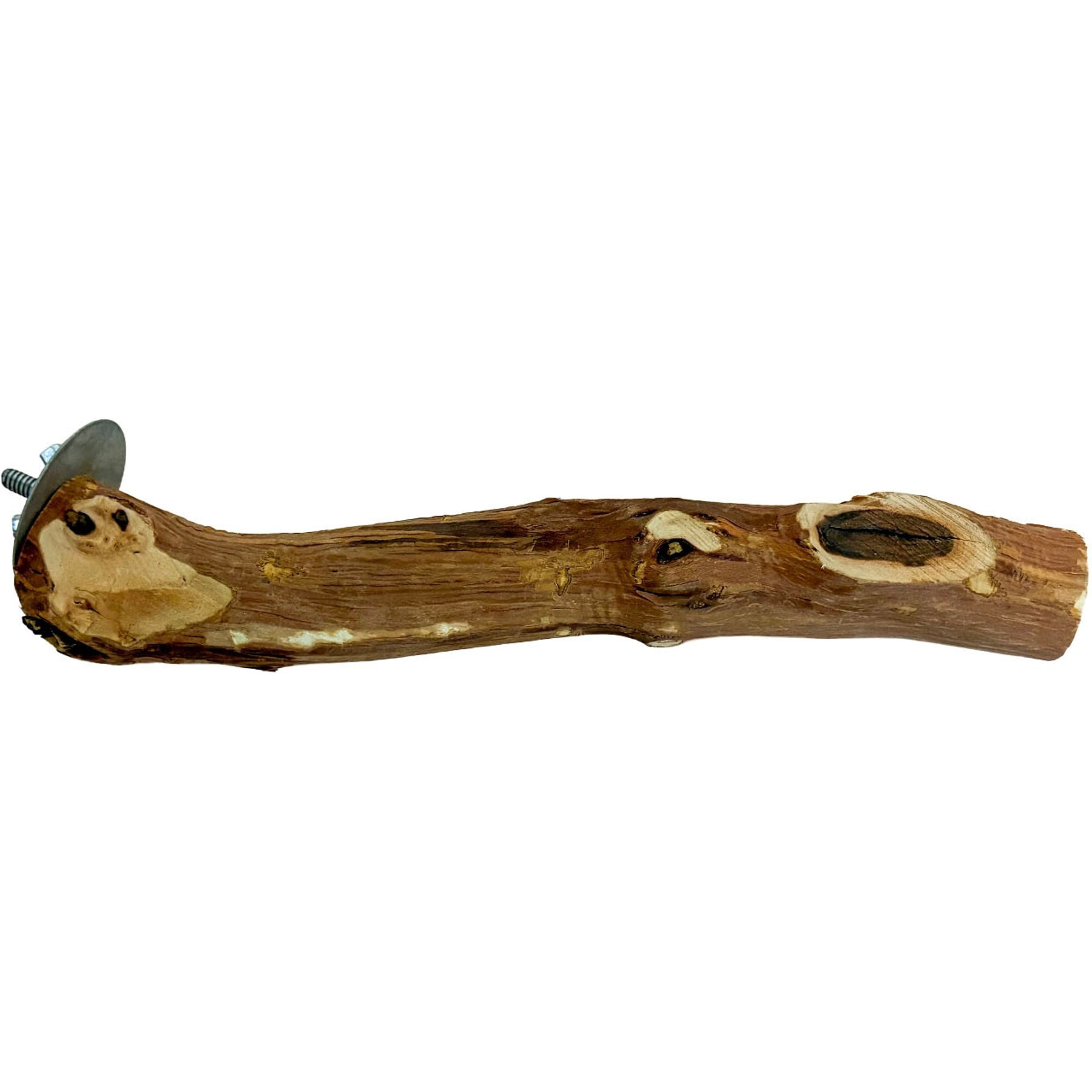 YML Hardwood Bird Perch, Brown, 8-in