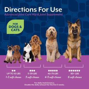 NaturVet Advanced Joint Care Hip & Joint Bacon & Chicken Flavored Supplement for Dogs & Cats, 240 count