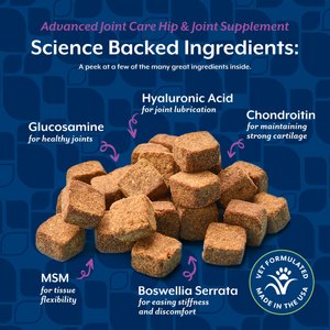 NaturVet Advanced Joint Care Hip & Joint Bacon & Chicken Flavored Supplement for Dogs & Cats, 240 count