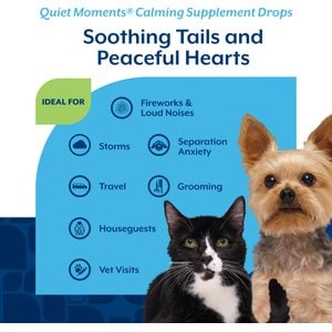 NaturVet Quiet Moments Bacon Flavored Calming Supplement Drops for Dogs & Cats, 2-fl oz bottle