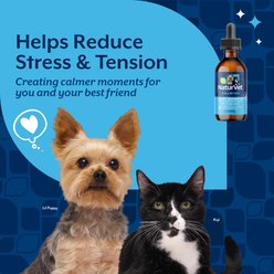 NaturVet Quiet Moments Bacon Flavored Calming Supplement Drops for Dogs & Cats, 2-fl oz bottle slide 2 of 6
