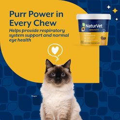 NaturVet L-Lysine Salmon & Bacon Flavored Immunity Supplement for Cats, 60 count slide 2 of 6