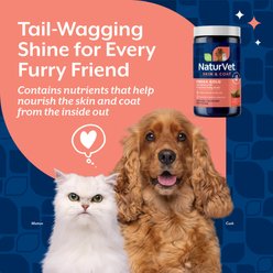 NaturVet Omega-Gold Skin & Coat Bacon & Chicken Flavored Supplement for Dogs & Cats, 180 count slide 2 of 6