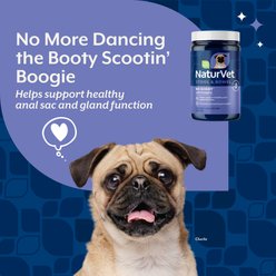 NaturVet No Scoot Stool & Bowel Supplement for Dogs, 5.4-oz bottle slide 2 of 6