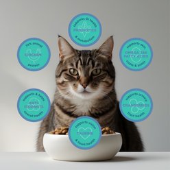 Blackwood Duck Meal, Salmon Meal & Field Pea Grain-Free Dry Cat Food, 4-lb bag slide 2 of 7