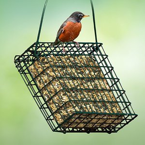 Kaytee Seed & Mealworm Wild Bird Treat Cake, 1.4-lb