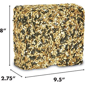Kaytee Seed & Mealworm Wild Bird Treat Cake, 1.4-lb