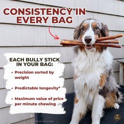 Bully Bunches 6-inch Thick Bully Sticks Dog Treats, 10 count slide 2 of 8