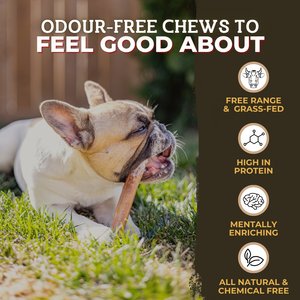 Bully Bunches 12-inch Thick Bully Sticks Dog Treats, 10 count