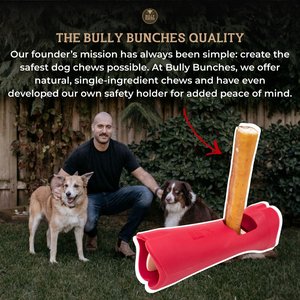 Bully Bunches 12-inch Thick Bully Sticks Dog Treats, 10 count