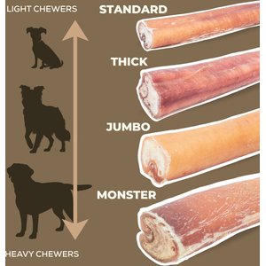 Bully Bunches 12-inch Thick Bully Sticks Dog Treats, 10 count