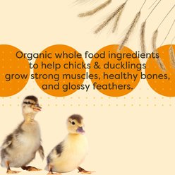 Scratch and Peck Feeds Organic Starter Crumbles Non-GMO Chicken Treats, 10-lb pouch slide 2 of 8