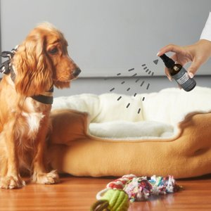 Tranquil Tails Pheromone Calming Spray for Dogs, 2-fl oz bottle