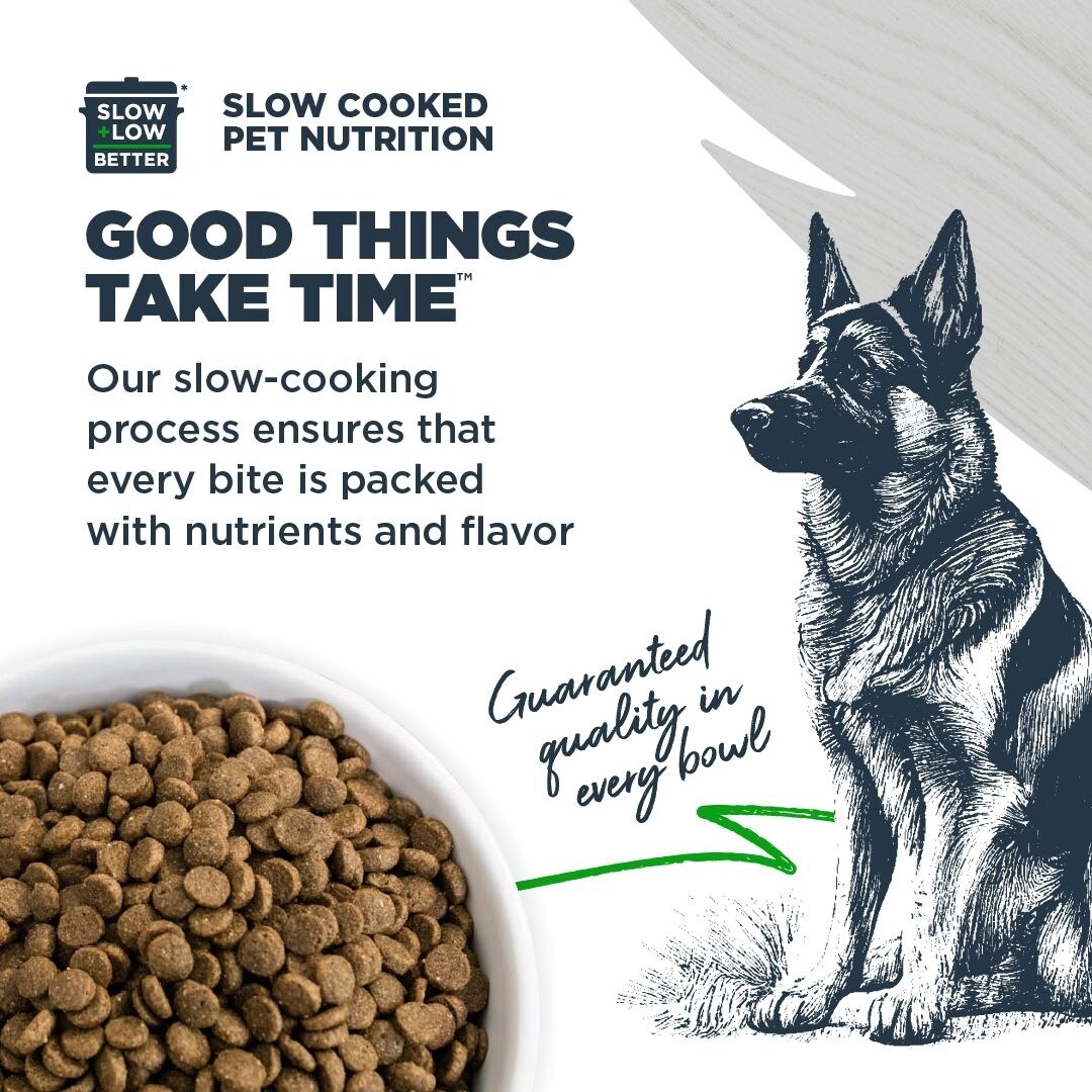 Fresh Look at Blackwood Small Breed Grain Free Turkey Lentils Recipe All Life