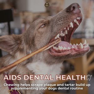 Bully Bunches 12-inch Thick Bully Sticks Dog Treats, 10 count