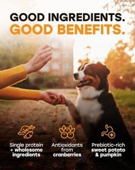Pup Choice Turkey Day Treats with Sweet Potato, Pumpkin & Cranberry Freeze-Dried Raw Treats for Training & Topping, 5.5-oz bag, 300 count slide 2 of 8