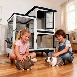 FunXplore Outdoor Rabbit Hutch with Urine Guards, White slide 2 of 8