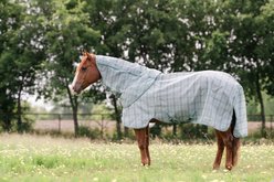 Horseware Newmarket Quarter Horse Plus Fly Sheet, Witney Dynasty, 82-in