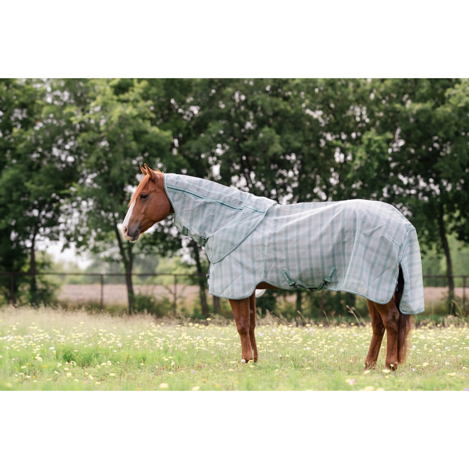 Horseware Newmarket Quarter Horse Plus Fly Sheet, Witney Dynasty, 72-in