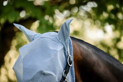 Horseware Horse Fly Mask, Heather Blue/Blue & Silver, Horse slide 2 of 6