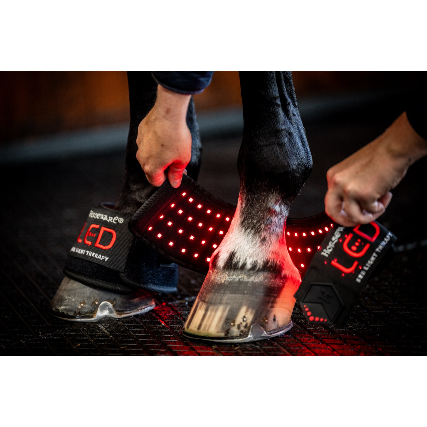 Horseware LED Red Light Therapy Mini Horse Wraps, Black/Black, 4 count