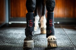 Horseware LED Red Light Therapy Horse Leg Wraps, Black/Black, 2 count slide 2 of 6