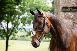 Horseware Figure 8 Grackle Horse Bridle, Brown, Pony