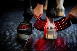 Horseware LED Red Light Therapy Mini Horse Wraps, Black/Black, 2 count slide 2 of 7