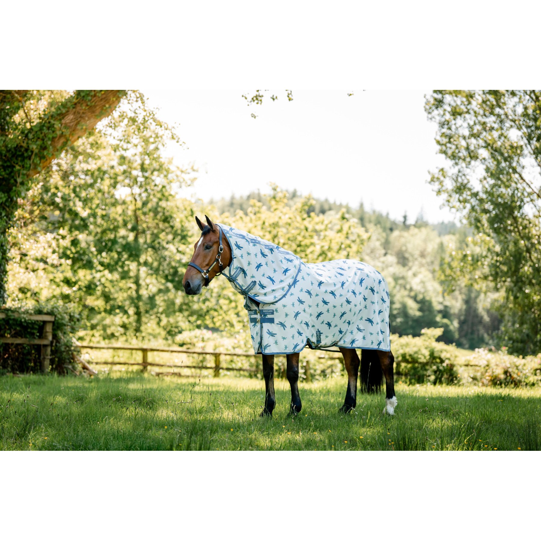 Horseware Amigo Bug Rug XL Plus Horse Fly Sheet, Dragonfly Print/Silver, Blue & Sage, 75-in