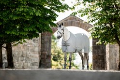 Horseware AirNet Horse Cooler, Heather Blue/Titanium Grey & Silver, 66-in slide 2 of 9