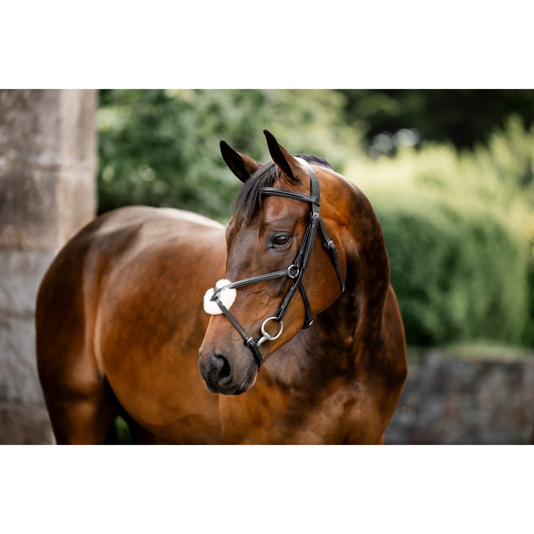 Horseware Figure 8 Grackle Horse Bridle, Black, Extra Full