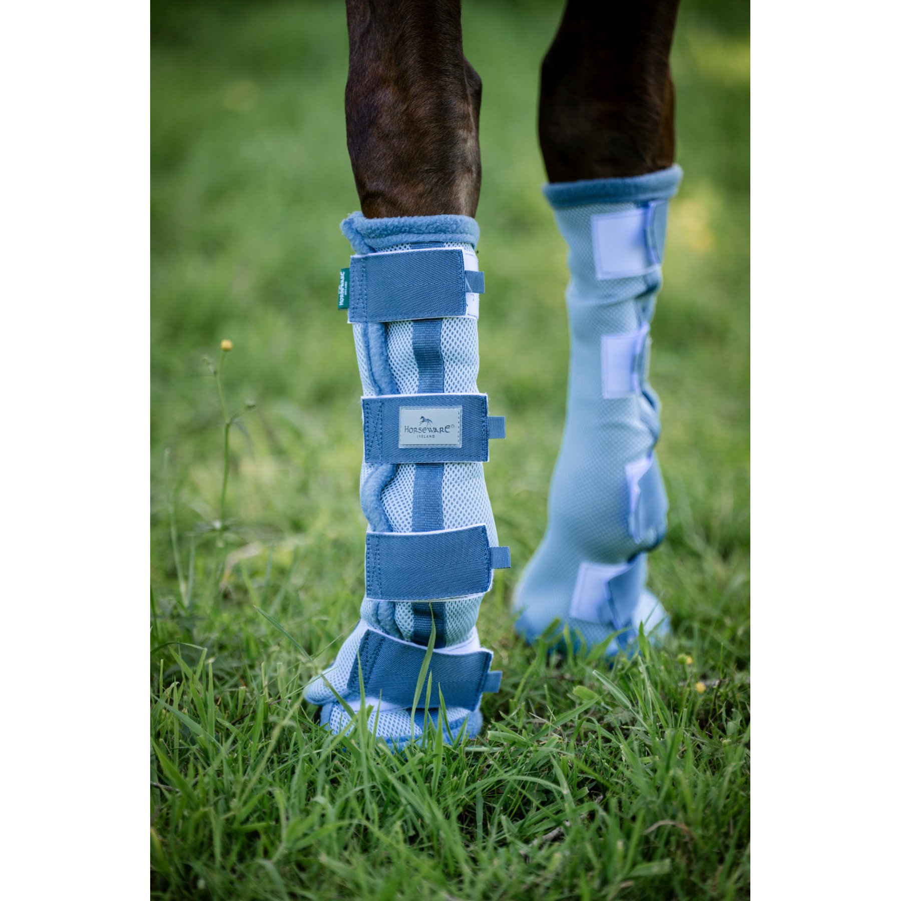 Horseware Horse Fly Boots, Heather Blue/Blue & Silver, Horse, 2 count
