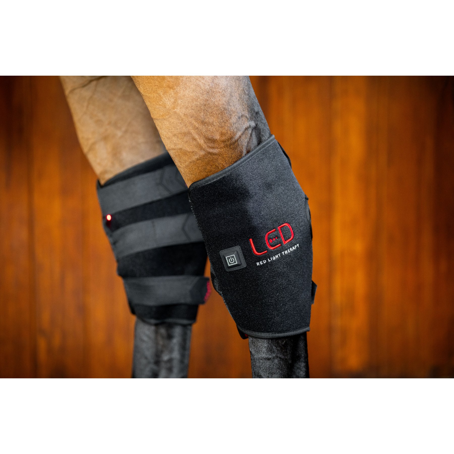 Horseware LED Red Light Therapy Horse Hock Boots, Black/Black, 2 count