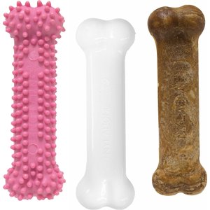 Nylabone Puppy Chew Variety Toy & Treat Triple Pack Pink, Small