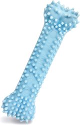 Nylabone Puppy Teething & Soothing Flexible Chicken Flavor Chew Dog Toy Blue, X-Small