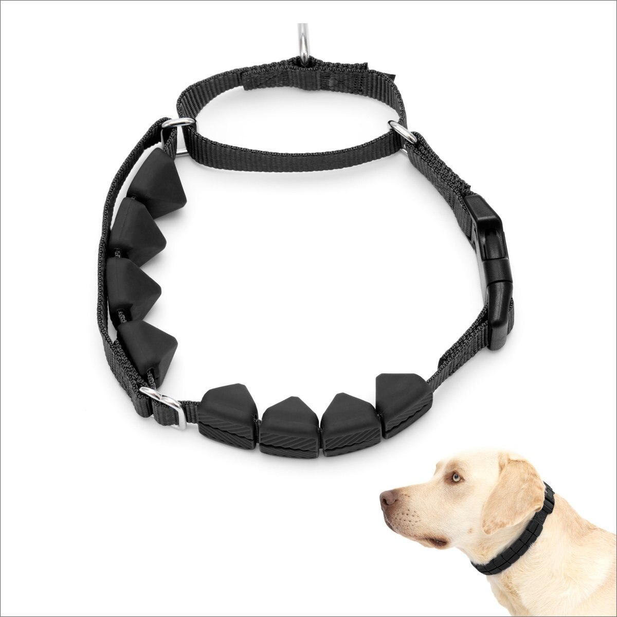 PetSafe Soft Point Martingale Dog Training Collar, Black, Large