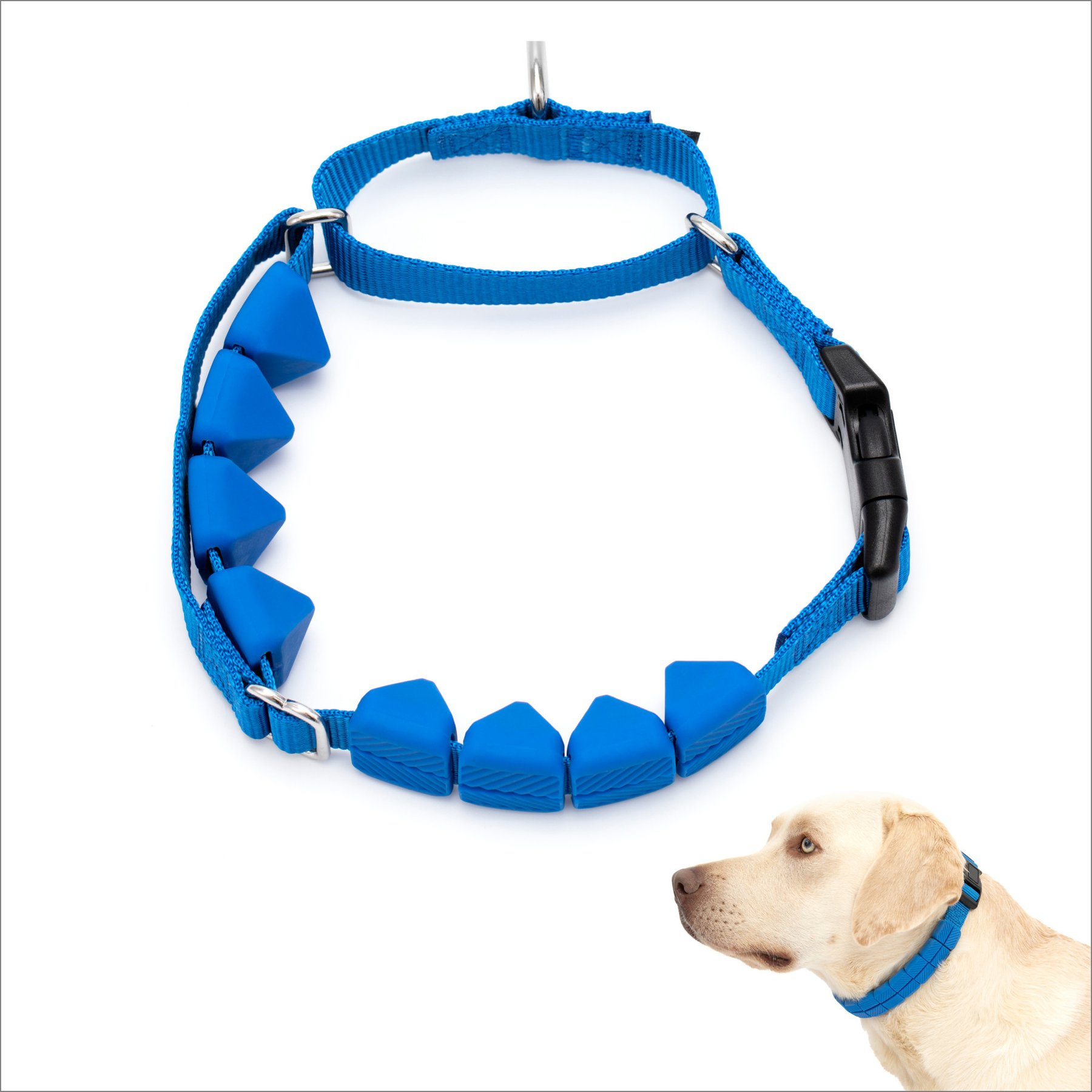PetSafe Soft Point Martingale Dog Training Collar, Royal Blue, Large