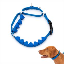 PetSafe Soft Point Martingale Dog Training Collar, Royal Blue, Medium