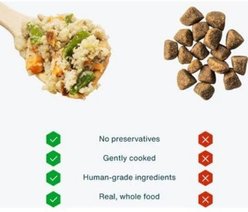 JustFoodForDogs Fish & Sweet Potato Recipe Frozen Human-Grade Fresh Dog Food, 18-oz pouch, case of 7 slide 2 of 8