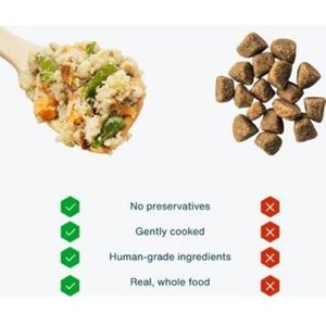 JustFoodForDogs Fish & Sweet Potato Recipe Frozen Human-Grade Fresh Dog Food, 72-oz pouch, case of 7