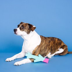 Fringe Studio Stick with Me Rubber Chew Dog Toy, Turquoise/Hot Pink slide 2 of 4