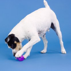 Fringe Studio You're Adora-Ball Rubber Treat Dispensers Dog Toy, Purple slide 2 of 4
