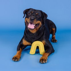 Fringe Studio Color Me Happy Rubber Dog Chew Toy, Yellow slide 2 of 4
