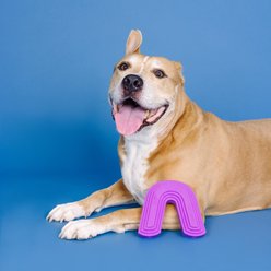 Fringe Studio Color Me Happy Rubber Dog Chew Toy, Purple slide 2 of 4