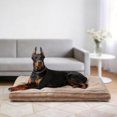 AIPERRO AIPERRO Pillow Dog Bed, Brown, X-Large: 41-in