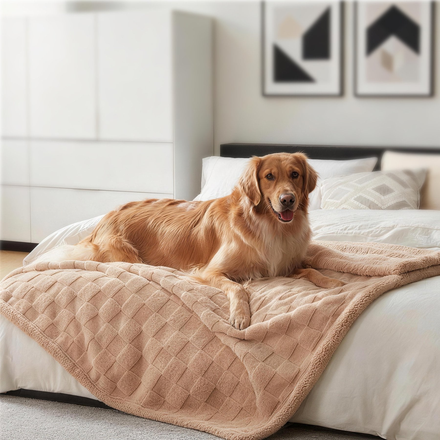 AIPERRO Waterproof Cat & Dog Throw Blanket, Brown, XX-Large
